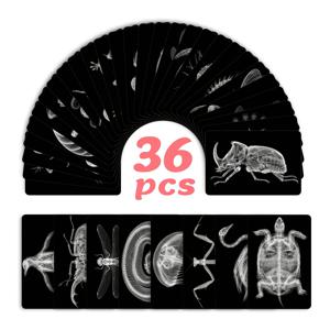TEMU 엑스레이 스타일 동물 아트 카드 엽서 36개, 재미있는 파티 게임 카드, 아버지의 날 선물용 엽서
