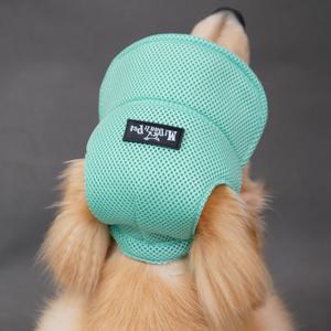 TEMU 귀 구멍 조절 가능 애견 모자 강아지 고양이 야외용 뱅크 모자 여름 스포츠 모자 강아지 소형 중형 대형견