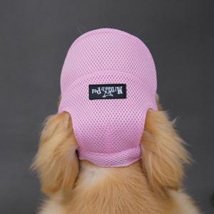 TEMU 귀 구멍 조절 가능 애견 모자 강아지 고양이 야외용 뱅크 모자 여름 스포츠 모자 강아지 소형 중형 대형견