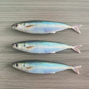 TEMU 소프트 베이트, 150mm/5.9인치 33.5g/1.18oz 3D 프린팅 마카렐 낚시 루어, 바다/강물 겸용 리얼 스윔베이트, 실제 같은 피부 질감 및 포크 테일 디자인, 내구성 좋은 바이오닉 베이트 (배스/툰용), 전문 낚시꾼을 위한 헤비 듀티 지깅 장비