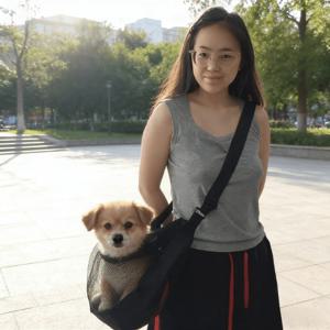 TEMU 소형부터 중형 반려동물까지 적합한 가볍고 통기성 좋은 메쉬 강아지 캐리어 - 지퍼 잠금 방식의 웨어러블 크로스바디/어깨에 멜 캠플링ing(어깨에 걸치는)형 캐리어, 야외 여행, 동물병원 방문, 쇼핑용 통풍 메쉬 패널 - 봄 여름 반려동물 캐리어 가방