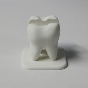 TEMU 3D 프린팅 치과 비즈니스 카드 홀더 치아 모양 카드 스탠드 치과 클리닉 책상 디스플레이 정리함