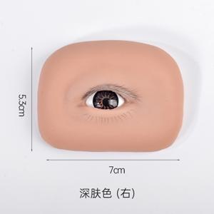 TEMU 여성을 위한 종합 속눈썹 연장 연습 키트. 상단 및 하단 속눈썹, 눈꺼풀 리프팅 기능이 특징이며 초보자를 위해 설계된 단일 핀셋 훈련 모듈이 포함되어 있습니다. 속눈썹 연장 애호가에게 이상적이며 결혼식에 완벽합니다.