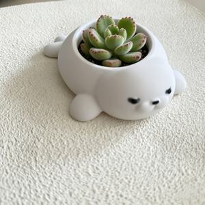 TEMU 귀여운 물범 모양 다육이 화분, 다기능 장식품, 열쇠 상자/저금통/수조용 떠다니는 어항 찌들이로 사용 가능, 사랑스러운 책상 장식품 원예 선물, 집 장식