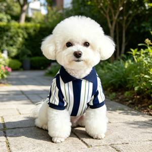 TEMU 소형견용 통기성 폴로 셔츠, 비숑 프리즈 테디 포메라니안을 위한 패션 민소매 애견 조끼, 캐주얼 여름 강아지 옷