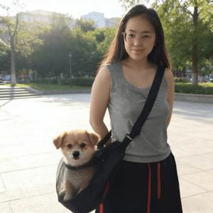 TEMU 봄 여름 메시 애견 가방, 크로스바디 또는 숄더 착용, 가볍고 통기성 좋은 강아지 외출 가방