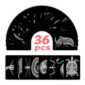 TEMU 엑스레이 스타일 동물 아트 카드 엽서 36개, 재미있는 파티 게임 카드, 아버지의 날 선물용 엽서