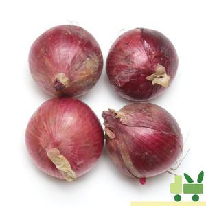 적양파 (1등) 2kg