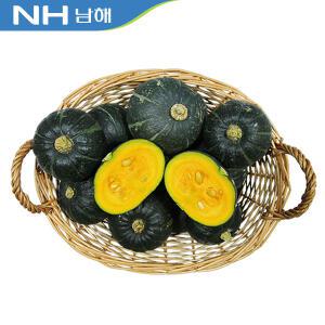 농협 공동선별 햇 남해 미니 단호박 밤호박 4kg(소/중/대)