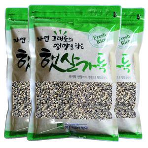 2026년산 햇 국산 검정보리쌀 500gx3개 흑보리 검은보리