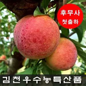 [시기별 최고 품종 발송] 김천 명품 자두 후무사/도담/추희  3kg/5kg (베스트/왕특/특/대 210g~90g)