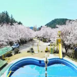 [경북 펜션] 포항 칠포그린로즈 (포항,북구(영일대,죽도시장,여객터미널))