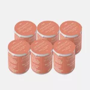 넬로 쿠쿠 펫드라이룸 아로마 키트 NDAK-A60SR 강아지 고양이 향수 6개입