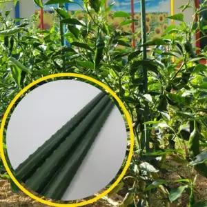 식물지지대 90cm 3P 고추지 줄기지 말뚝토마토지 오이지 넝쿨 고추대 몬스테라지 지주대 고춧대 나무대 방