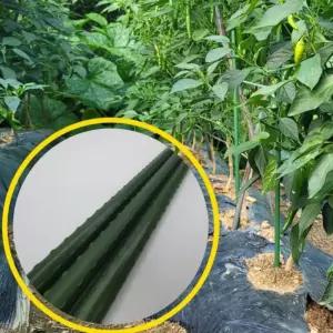 식물지지대 60cm 5P 방울토마토지 고추지 넝쿨화초 토마토지 오이지 고추대 몬스테라지 지주대 고춧대 나무