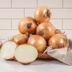 26년 햇양파 양파 3kg 5kg 중품 / 특품