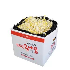 아삭아삭 꼬부린 콩나물/숙주나물 1kg 2kg 4kg