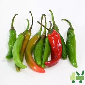 청양고추 10Kg (하)