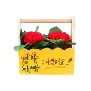 어버이날 스승의날 비누꽃 (2명용)카네이션 카네이션만들기 구름상자