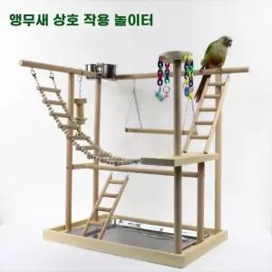 앵무새 놀이터 코뉴어 D타입 카이큐 사랑앵무