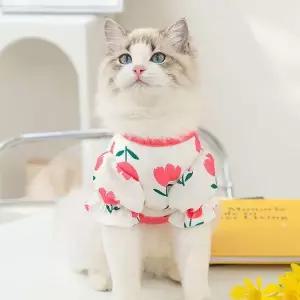 강아지 강아지티셔츠 지옷 애견 여름 의류 1개 반팔티