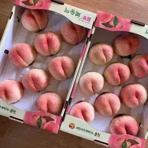 순천 월등 복숭아 꿀당도 조생종 딱딱이 말랑이 백도 황도