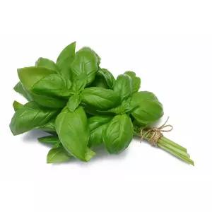 바질 생잎 허브 100g BASIL 페스토 향신료