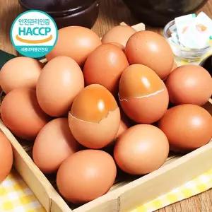 [HACCP시설] 참숯돌에서 구운계란 30개(개당 45~50g)