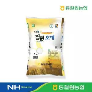 [동철원농협] 2025년산 철원오대쌀 5kg #당일도정