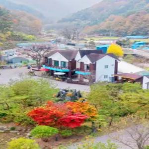 [강원 펜션] 삼척 초당지펜션 (동해,삼척,태백)