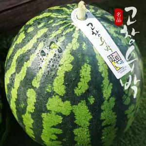 [고창특산물] 명품 고창 수박 로얄특대과 10kg미만 (선물용)