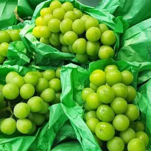 프리미엄 고당도 샤인머스켓 망고포도 실속형 1kg 2kg