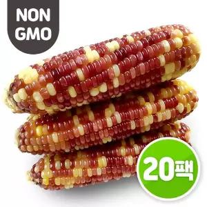 [하프클럽/기타]맛있는 알록달록 삶은 찰옥수수 20개