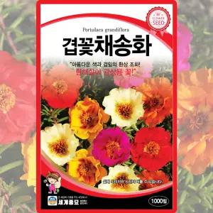 세계종묘 겹꽃채송화 씨앗 1000립 겹잎 채송화 꽃씨 종자