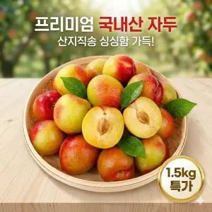 경북 김천 새콤달콤 햇자두 대석 후무사 추희 자두 1.5kg 특 100g내외