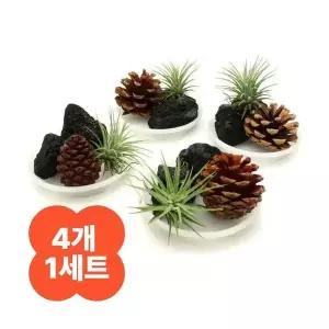 천연가습기 만들기 키트 4인용 이오난사 솔방울 화산석 자연물 노인 요양원 프로그램 활동