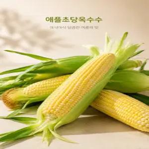 26년 햇수확 국내산 애플 초당옥수수 로얄특품(15~20cm)10개