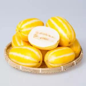 꿀달달 가정용 성주 참외 10kg 랜덤과