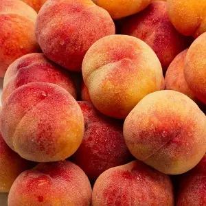 아삭 딱딱 딱복 반납작 대극천복숭아 1kg 대과 8-9과 내외