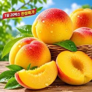 신선상회 26년 햇 복숭아 달콤한 말랑이 황도복숭아 3kg(대)