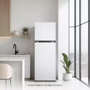 LG 일반냉장고 B245W22 241L 2등급