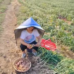[오즈리빙]썬캡 은박 농사모자 논 밭일 낚시 야외 작업 햇빛반사 자외선차단 대형 모자