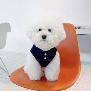 실내복 강아지옷 카라 티셔츠 외출복 애견옷 PK
