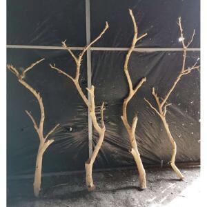 새장 앵무새케이지 중형 새케이지 5M 원목 이동식 47X36X102CM