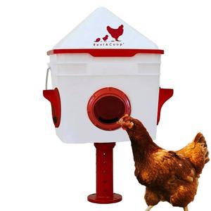 RENTACOOP CHICK2CHICKEN 4.5KG(10파운드) BPA 프리 4-미디엄 커버, 방지 12마리의 피더 닭에 뚜껑, 포트 및 가능한 포함 20마리의 성인 병아리 콘, 스탠드 최대 뿌리 조절 슬라이더 적합 - 맞춤형