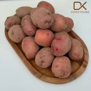 홍감자 2kg 중 (50-70g)