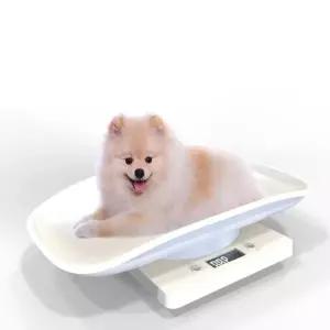 저울 건강측정용품 아기 체중계 강아지 고양이
