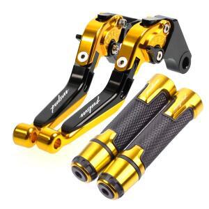 오토바이 접이식 확장형 CNC 모토 조정  클러치 브레이크 레버 핸드 바 엔드 그립 Bajaj Pulsar 200 NS 200