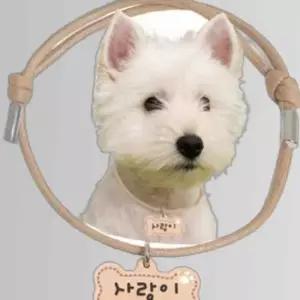 애견 가죽 뼈다귀 인식표 면목걸이 초소형 이름표 1P