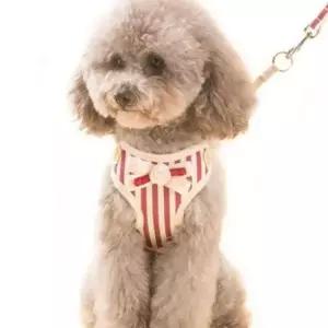 예쁜 비비드 고양이 강아지 목줄 가슴줄 하네스